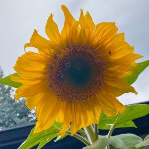 Meet your Posher, Kati